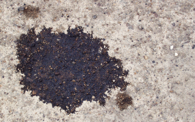 6 Signs Your BMW Has An Oil Leak & What To Do About It