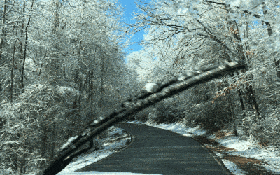 How To Properly Winterize Your BMW