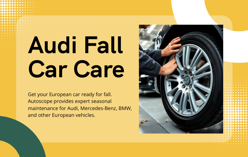 audi fall maintenance