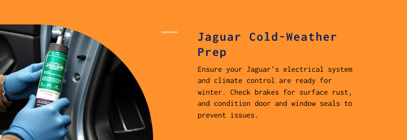 jaguar cold weather preparation
