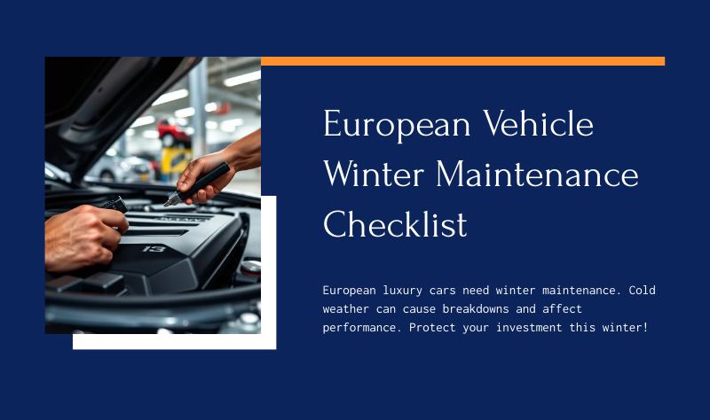 european vehicle winter maintenance