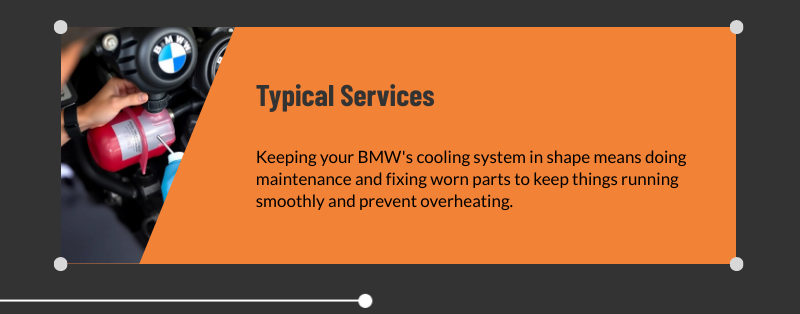 bmw cooling system services dallas