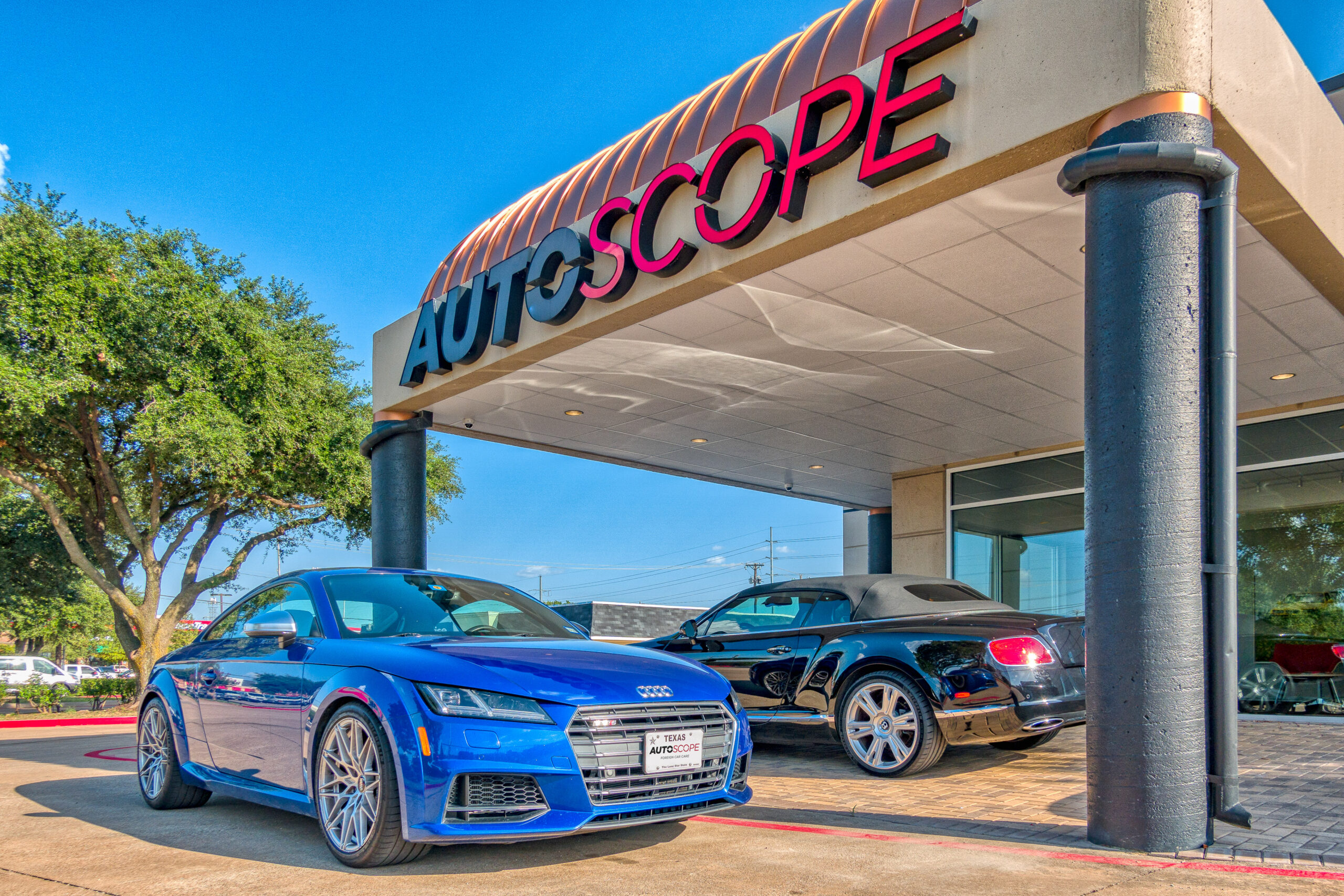 AutoScope storefront with Audi TT
